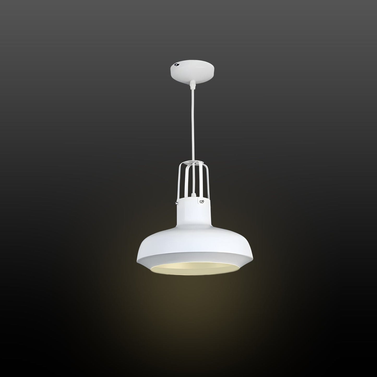 Arctic Cage Pendant Light